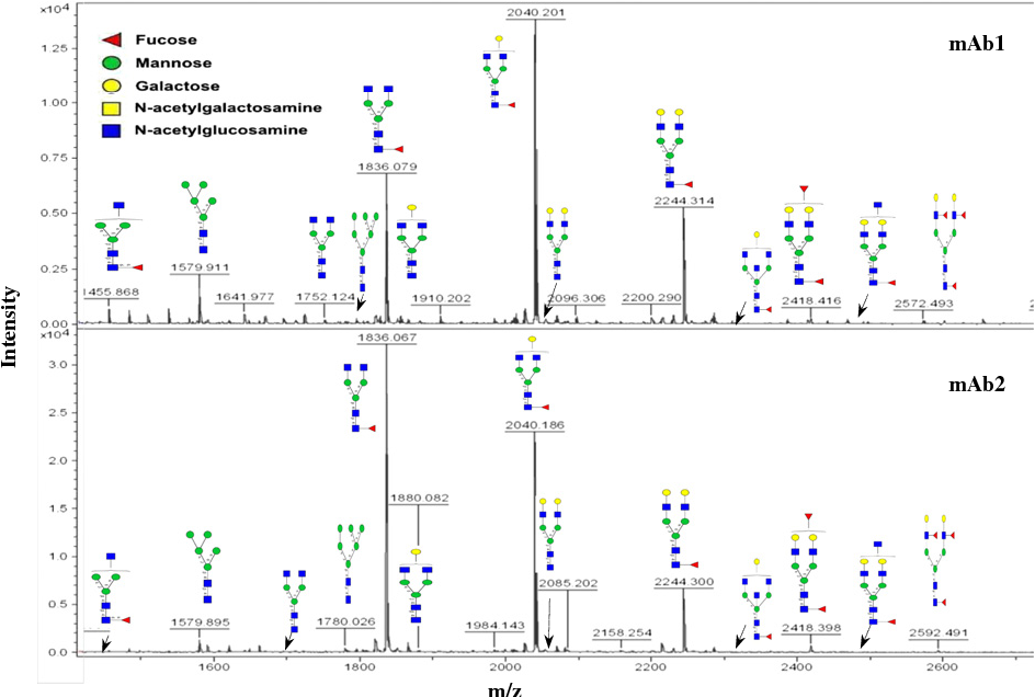 Glycosylation site analysis of mAb1 and mAb2 by full-scale MALDI-TOF MS spectra