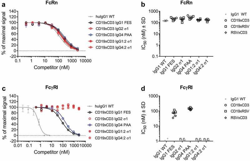 FcRn/FcγRI binding analysis of biosimilars