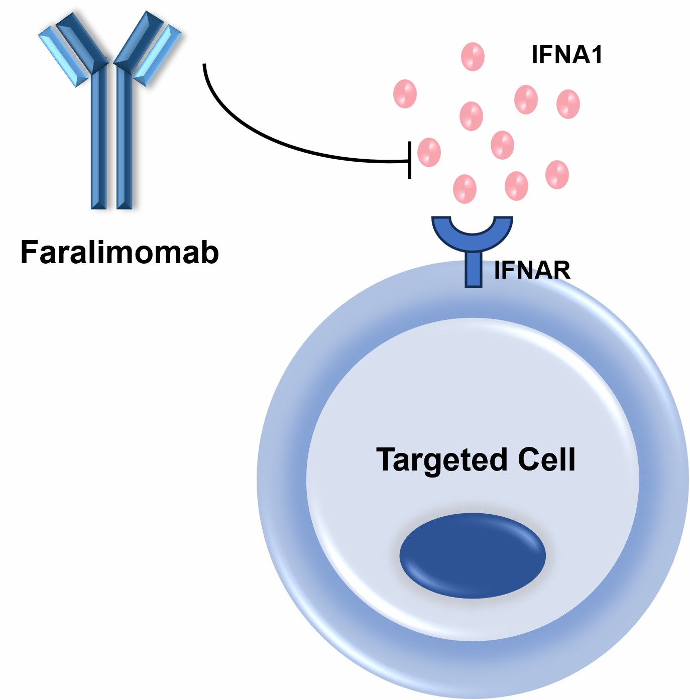 Figure 2. The Schematic of Mechanism of Faralimomab Action. (Creative Biolabs Original)