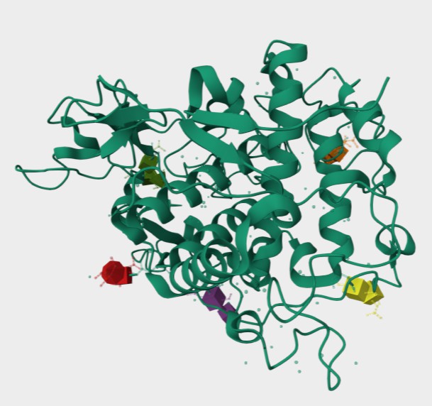 Figure 1. The Structural Properties of Human TYRP1. (UniProt)