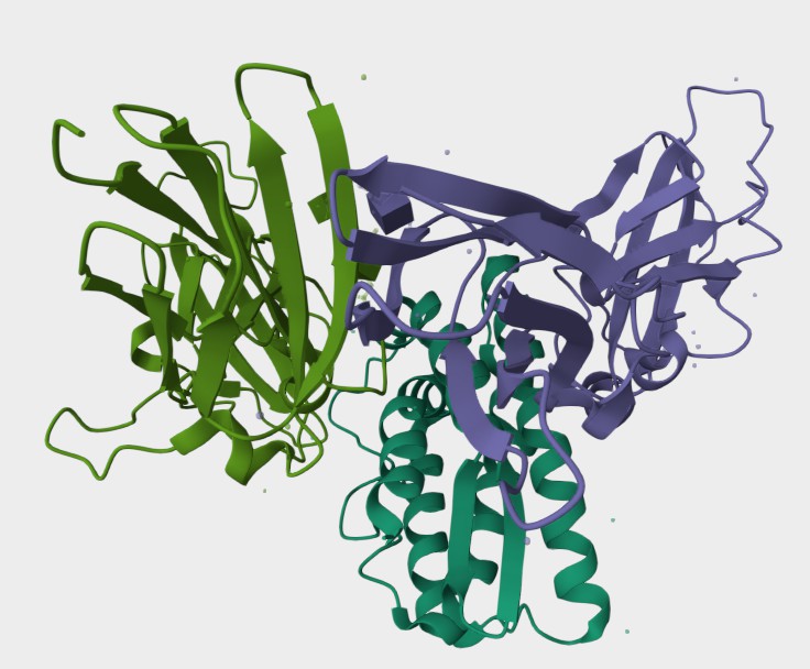 Figure 1. The Structural Properties of Human IL20. (UniProt)