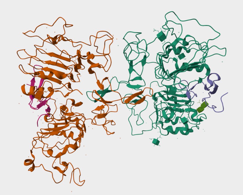 Figure 1. The Structural Properties of Human EGFR (UniProt)