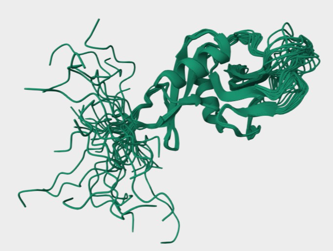 Figure 1. The Structural Properties of Human CD23. (UniProt)