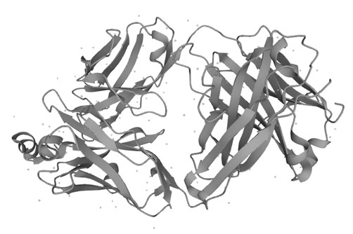 Figure 1. The Structural Features of Human CD20 (UniProt)