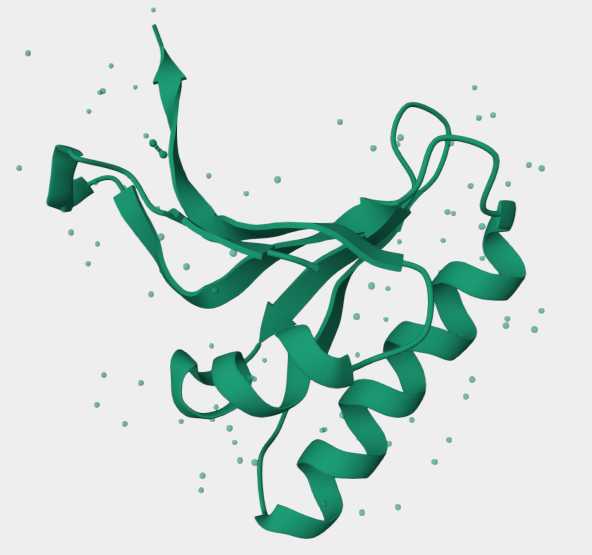 Figure 1. The Structural Properties of Human PCSK9.