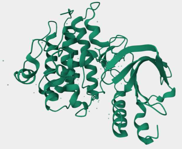Figure 1. Structural Properties of Human RON.