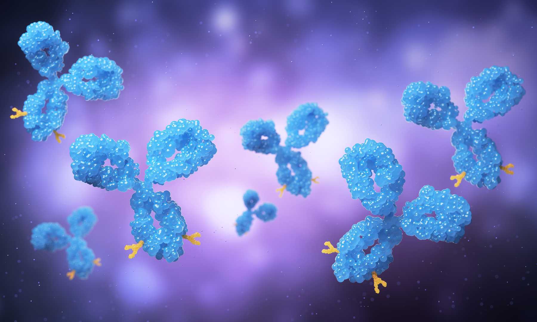 High-Throughput Antibody Production