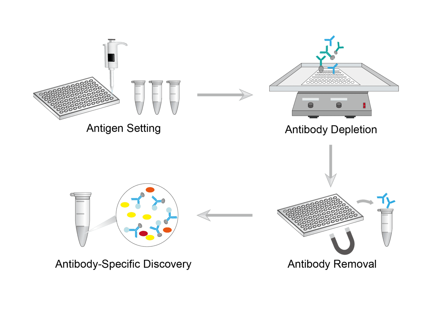 Antibody Depletion Assay