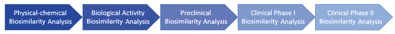 Biosimilars of Monoclonal Antibodies