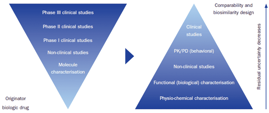 Biosimilars of Monoclonal Antibodies
