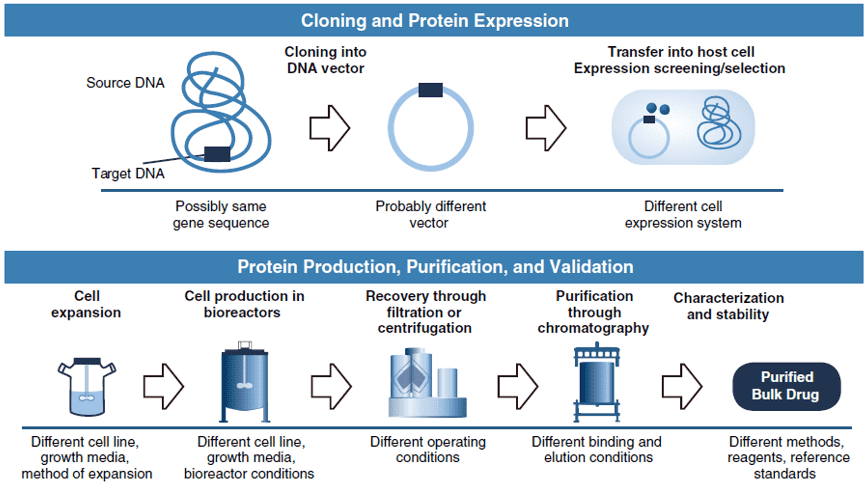 Biosimilars of Monoclonal Antibodies