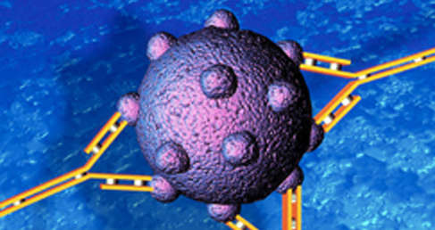 CDC Enhanced Antibody