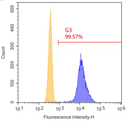 Anti-Human CD20 Recombinant Antibody (Rituximab) (Cat#: TAB-016)