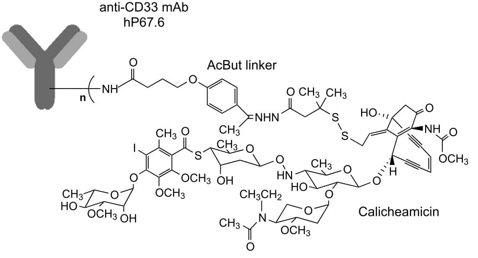 Calicheamicins