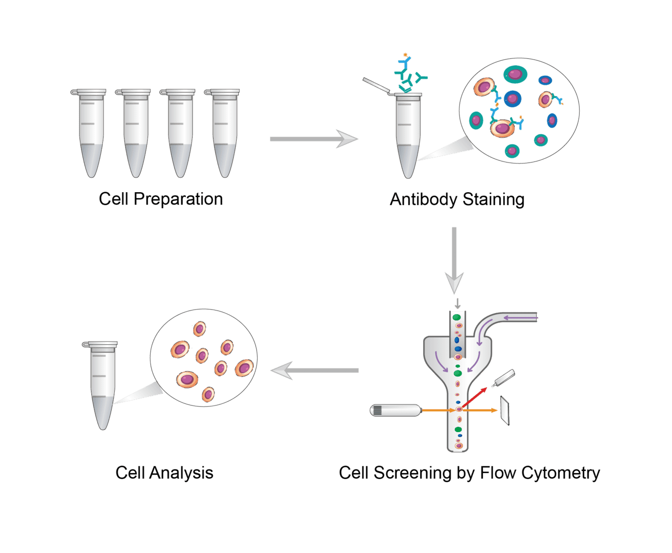 Cell Screening