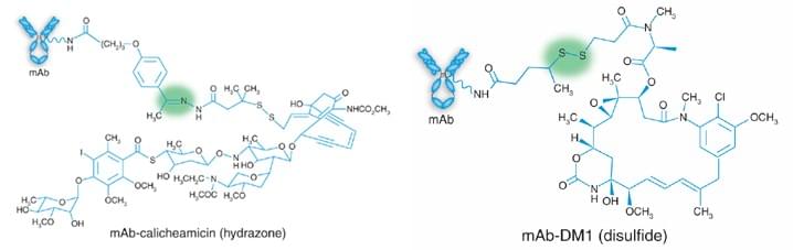 Chemically cleavable linkers