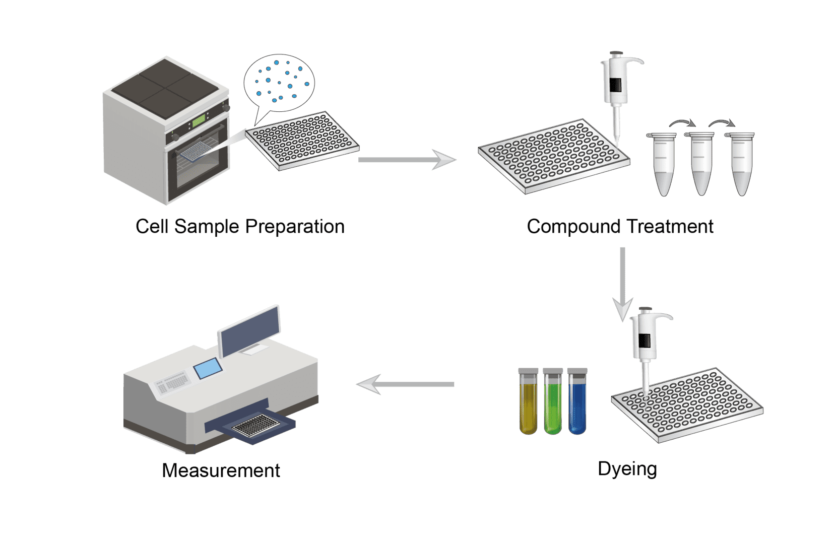 Cytotoxicity Assay