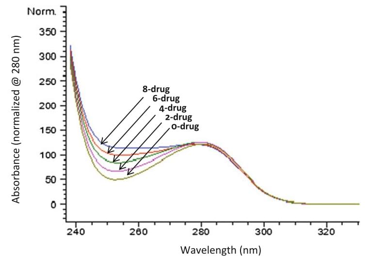  DAR and drug load distribution assessment