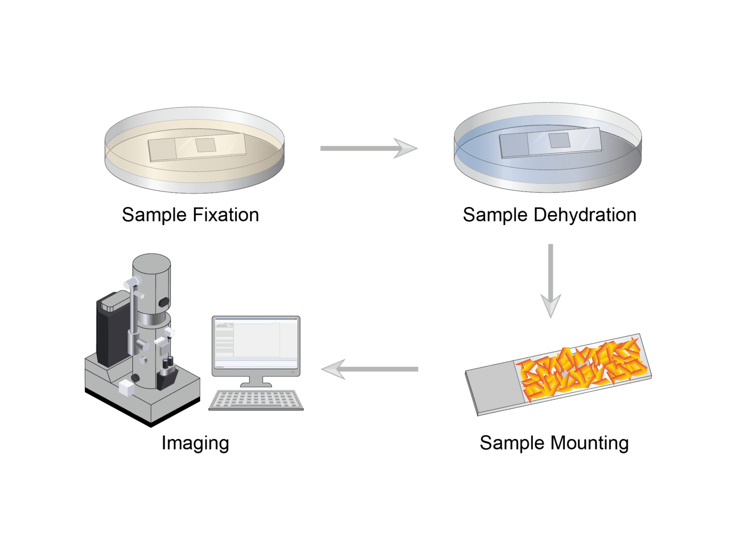 Electron Microscopy