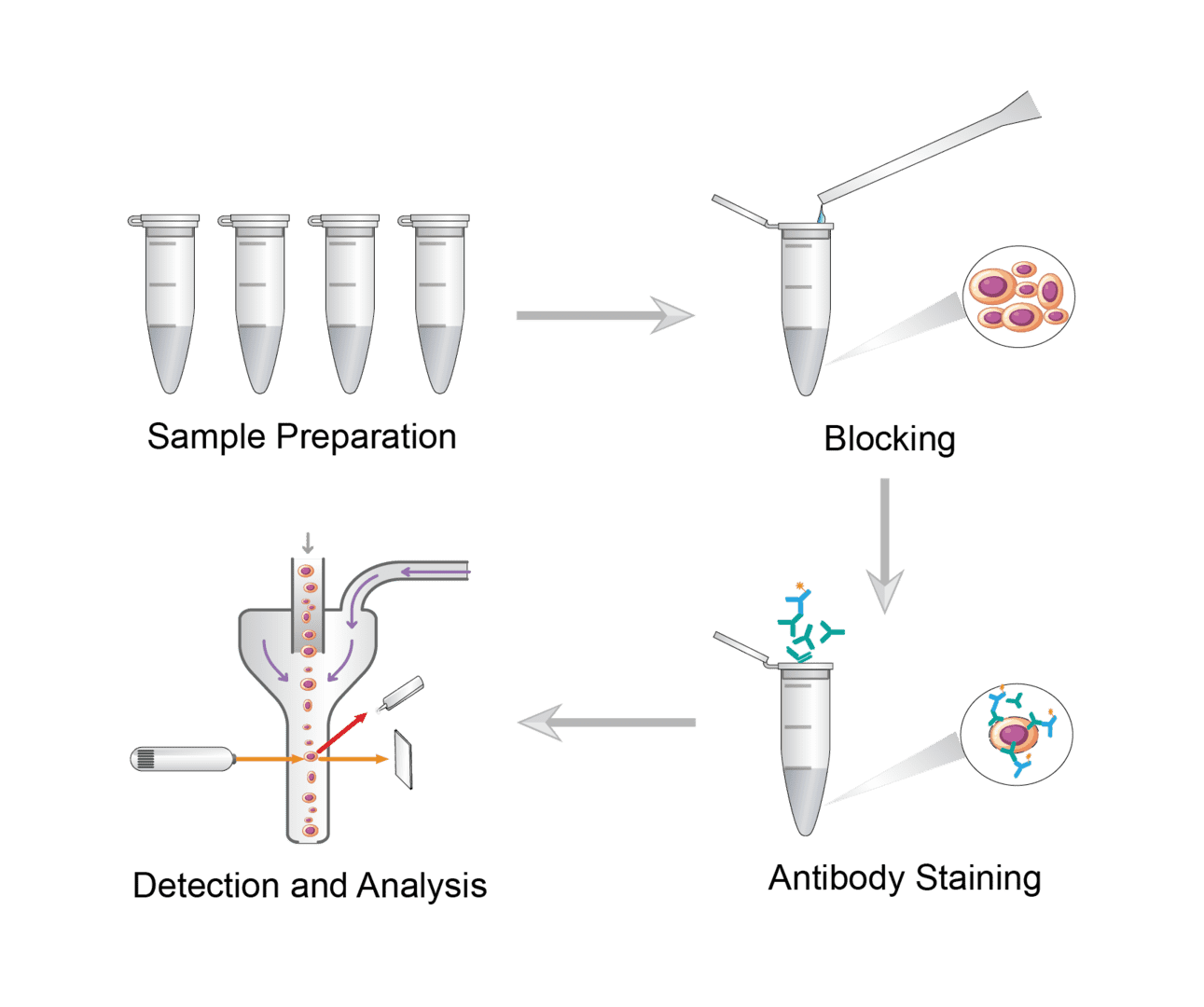 Flow Cytometry