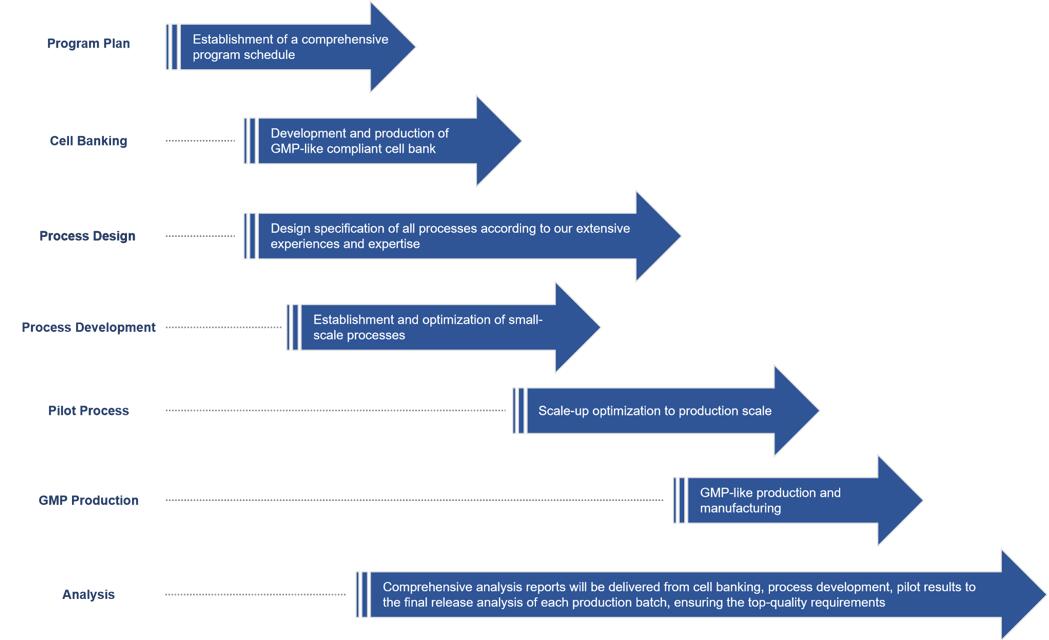 Our Non-GMP antibody production services.