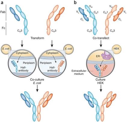 Genetic Engineering