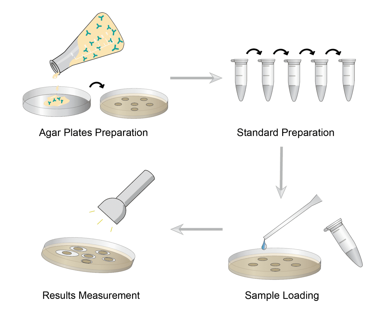 Immunodiffusion