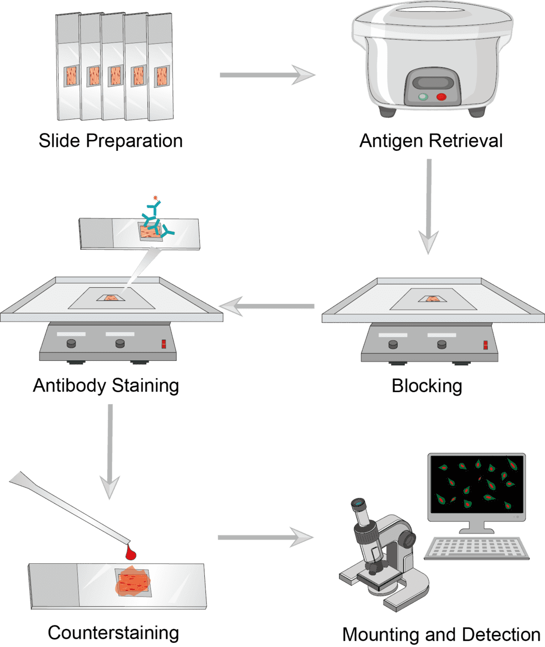 Immunohistochemistry