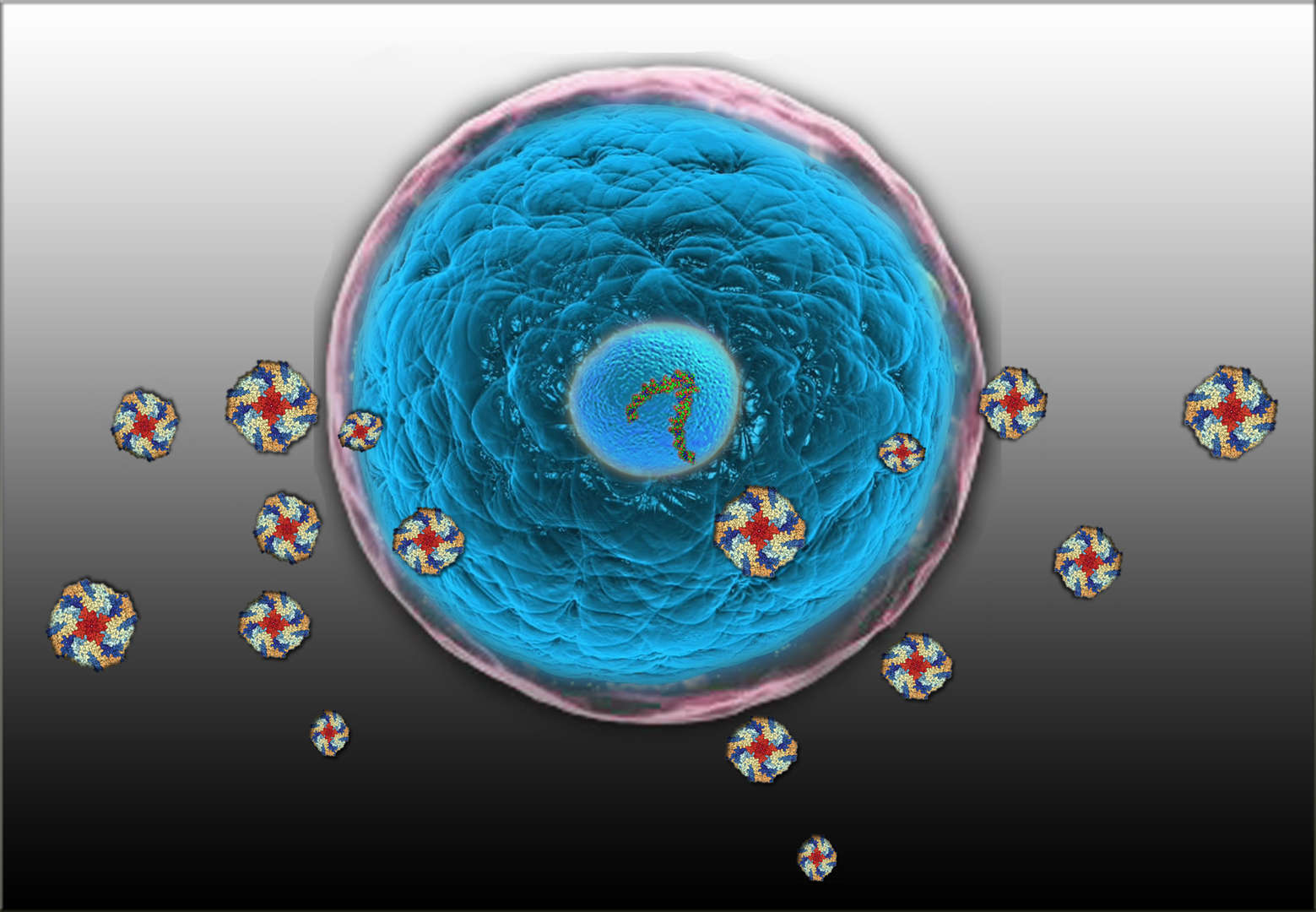 Magic™ Eukaryotic Antibody Production Service