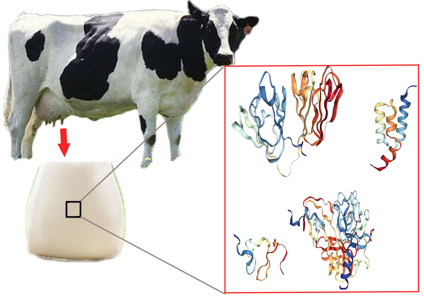 Magic™ Transgenic Animal Expression Service - Creative Biolabs Magic™ Transgenic Animal Expression Service - Creative Biolabs