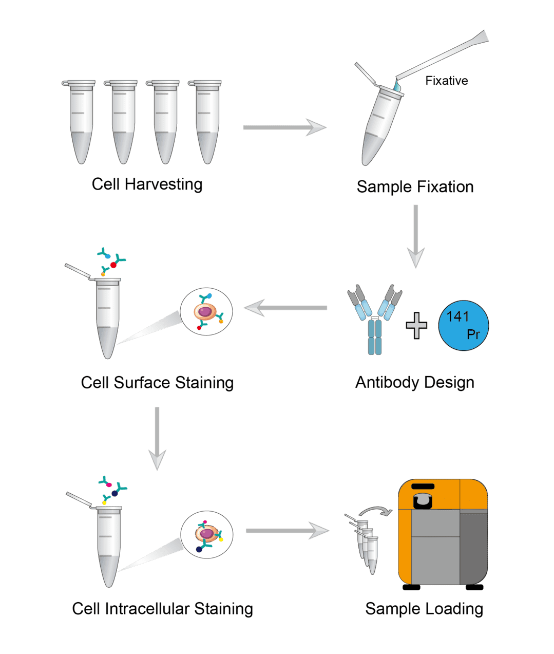 Mass Cytometry