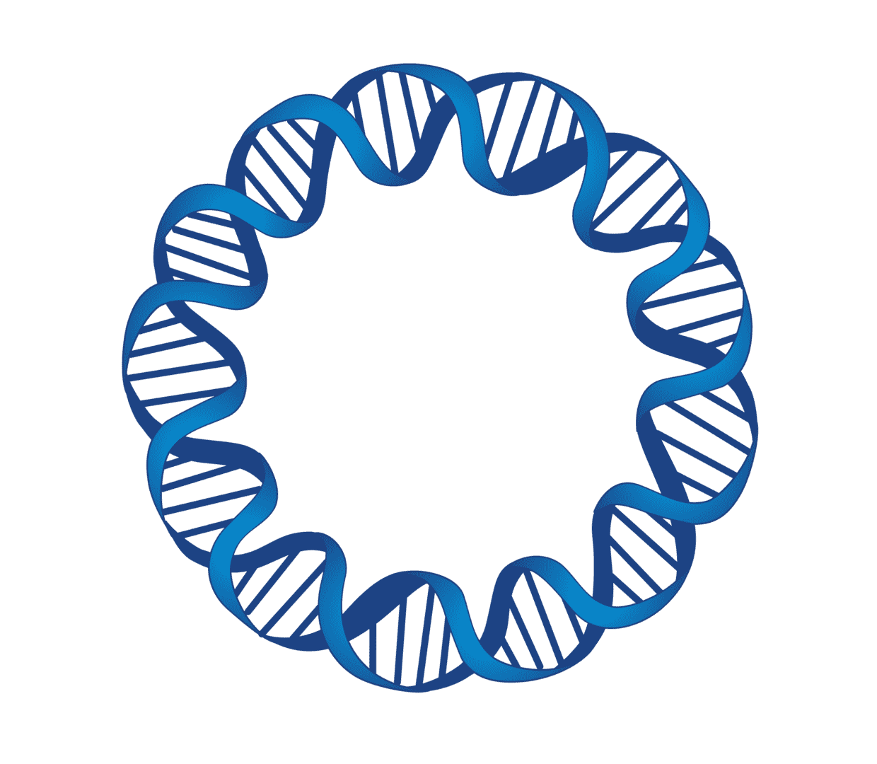 Research-grade plasmid DNA