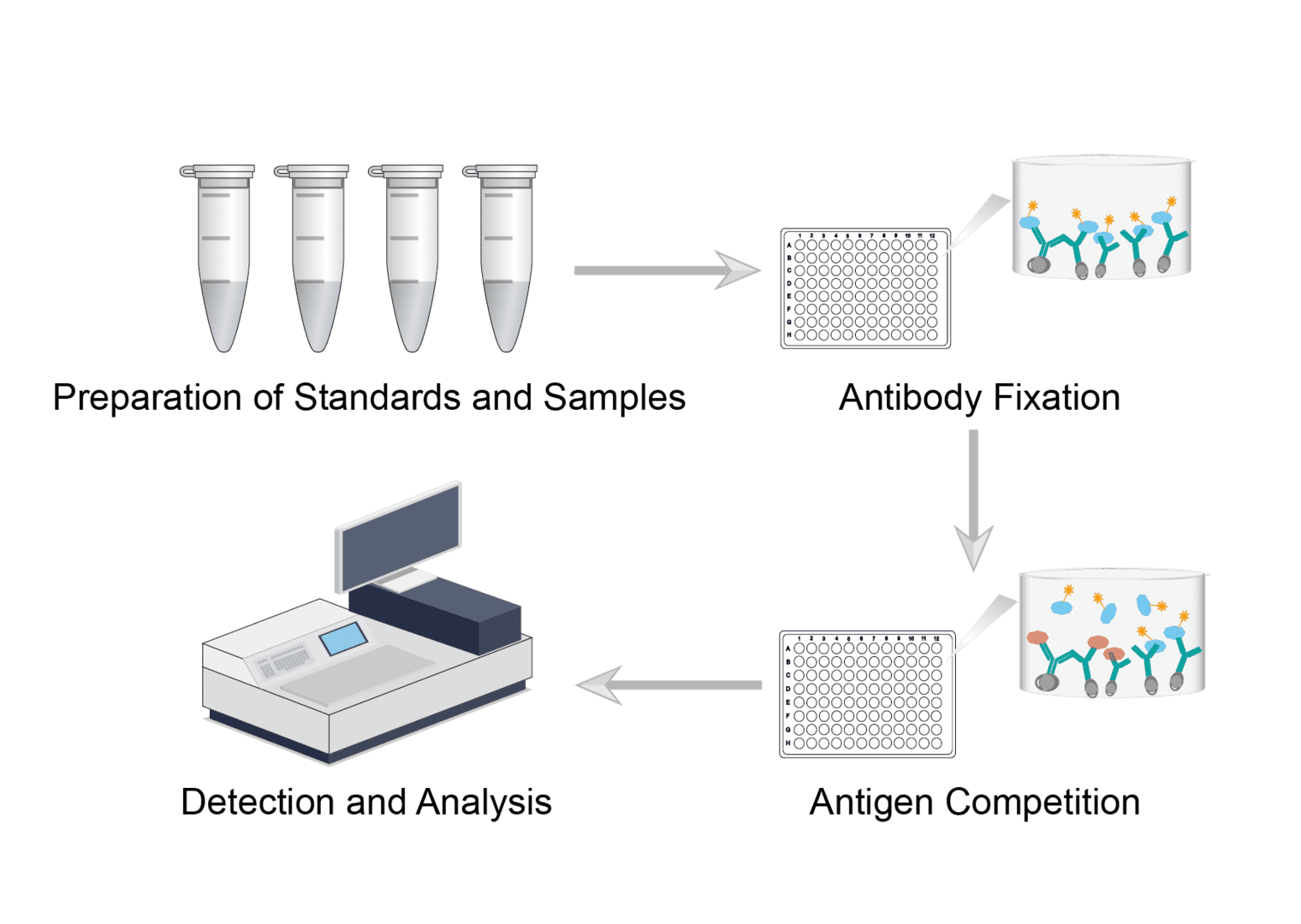 Radioimmunoassay