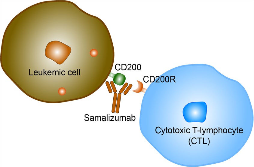 Mechanism of Action of Samalizumab