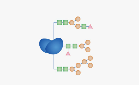 Antibody Discovery