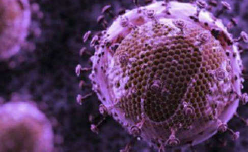 Phage Display Libraries and Antibody Libraries