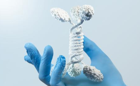 Antibody Optimization and Characterization