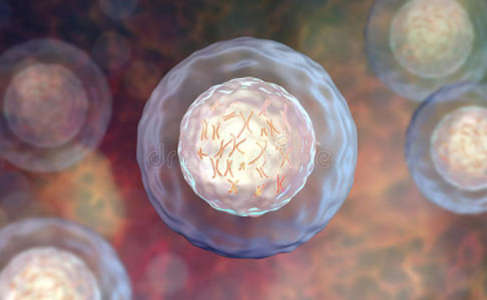 Stable cell line development