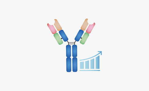 Non-GMP Antibody Production