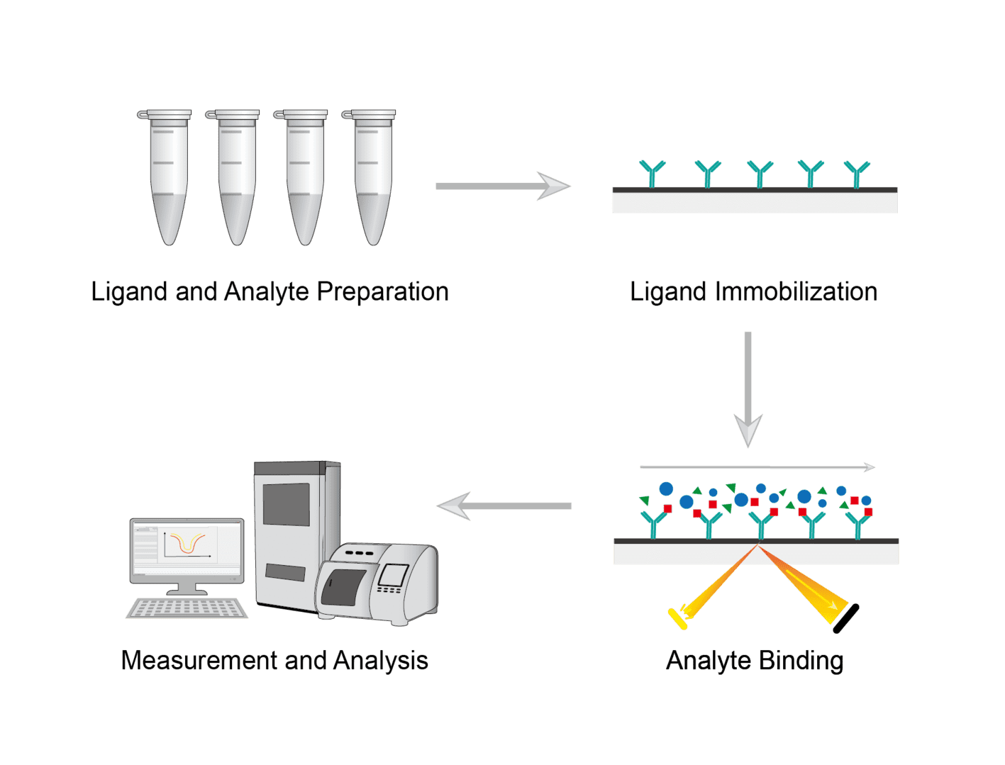 Surface Plasmon Resonance