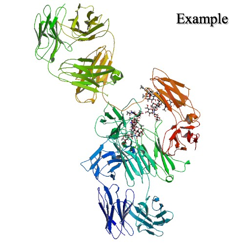 Figure 1 Structure of Teplizumab