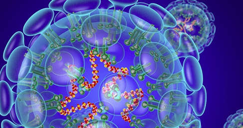 The Novel Coronavirus (SARS-CoV-2) Nucleoprotein (NP) ELISA Kit