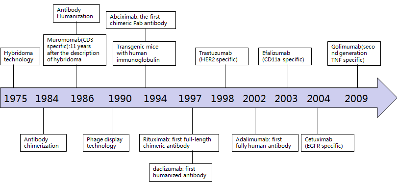 Timeline of Therapeutic Antibody Development