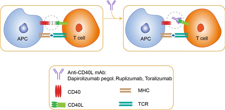 Mechanism of Action of Toralizumab