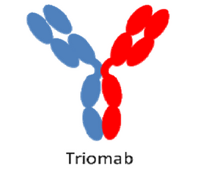 Diagram of Triomab