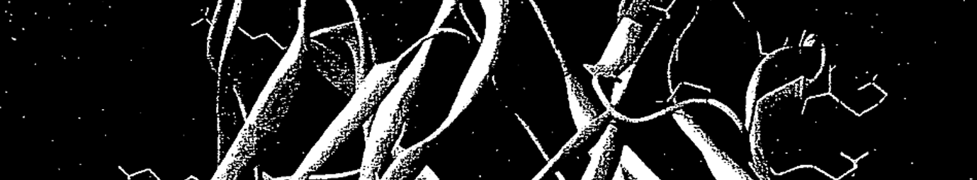 Engineered antibody