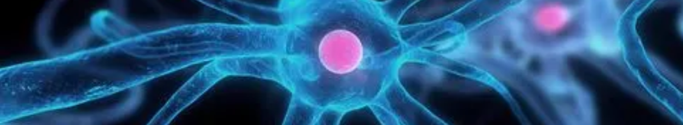 Soluble T cell receptor (TCR)