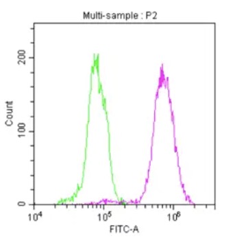 FC analysis. (Creative Biolabs Original)