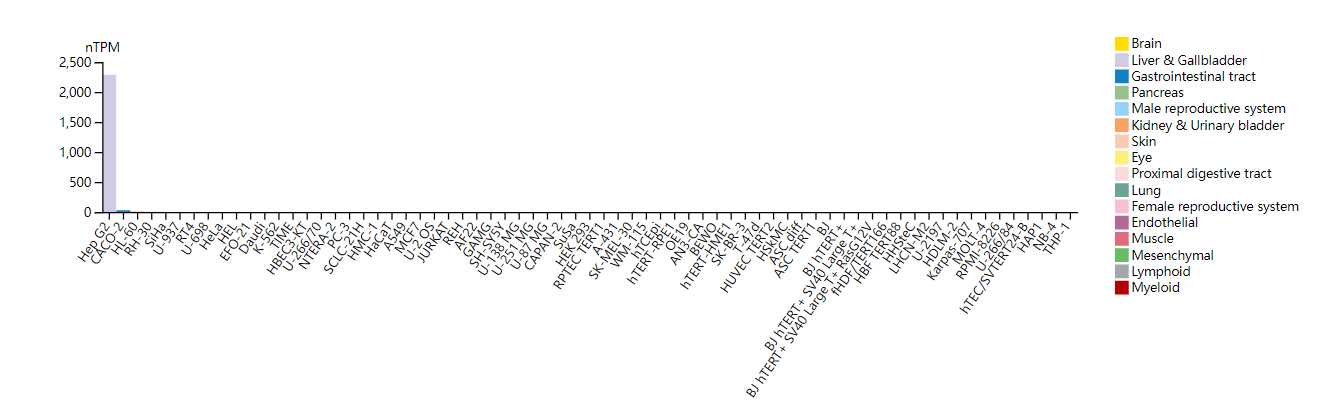 RNA analysis. (Creative Biolabs Original)