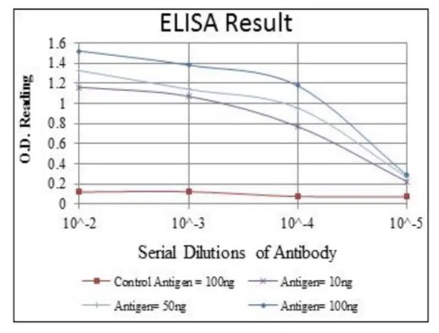 ELISA analysis. (Creative Biolabs Original)